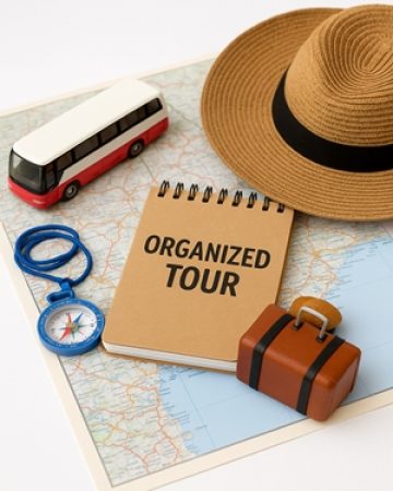Tour organizzati